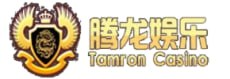 腾龙娱乐 Logo